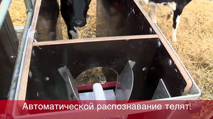 Urban CalfMom Alma RUSSISCH 720p